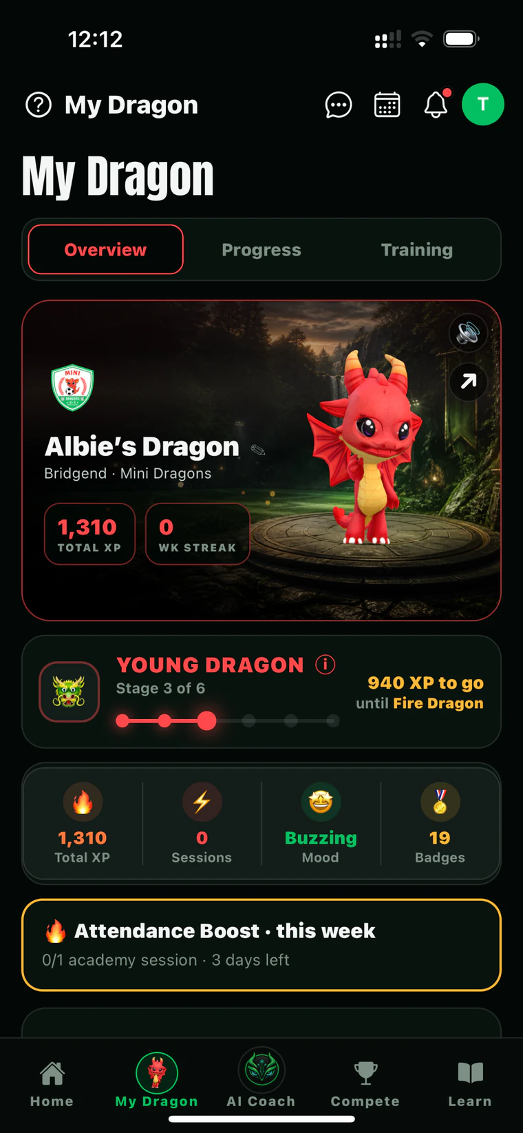 Dragon Players My Dragon experience with character and XP progression